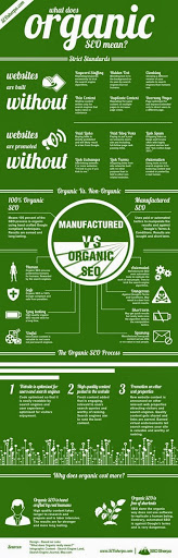 Organic SEO