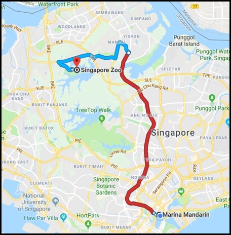 Onwards to Singapore Zoo